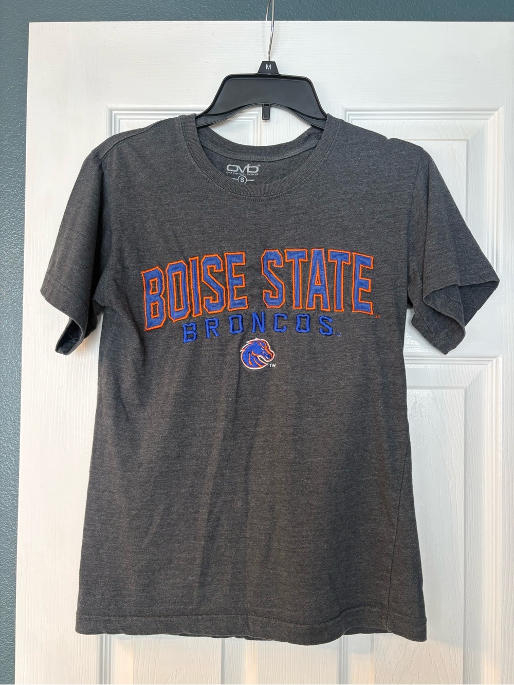 ⭐️5/$15! Boise State Broncos Gray Graphic Tee
